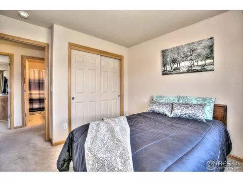 1075 Mahogany Way, Severance, CO 80550 photo 29