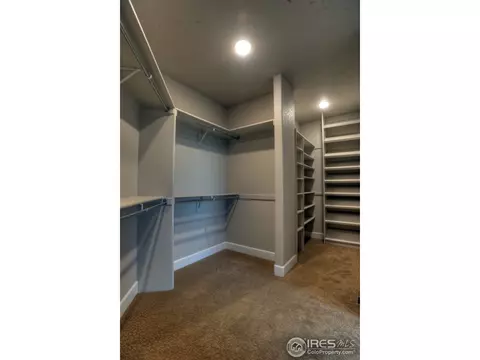 7012 Crystal Downs Dr, Windsor, CO 80550 photo 20