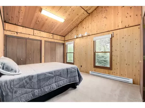 12 Silver Load Ln, Dumont, CO 80436 photo 32