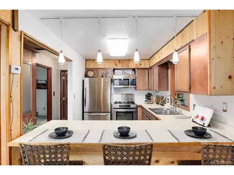 12 Silver Load Ln, Dumont, CO 80436 photo 17