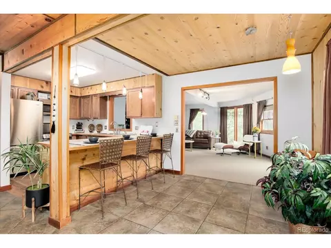 12 Silver Load Ln, Dumont, CO 80436 photo 16