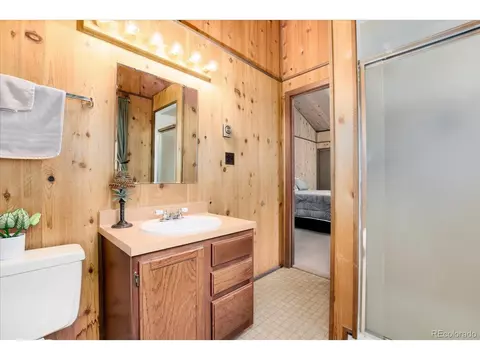 12 Silver Load Ln, Dumont, CO 80436 photo 33