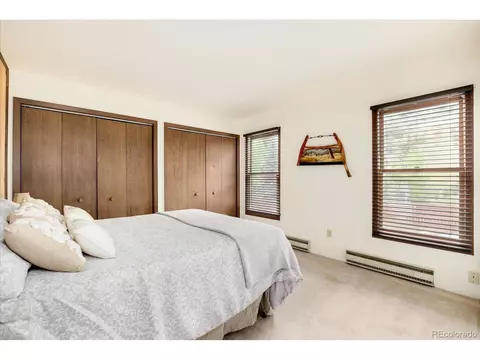 12 Silver Load Ln, Dumont, CO 80436 photo 30
