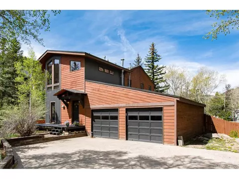 12 Silver Load Ln, Dumont, CO 80436 photo 9