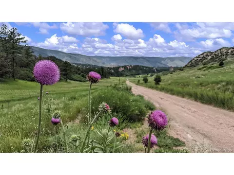 4640 Comanche Dr, Larkspur, CO 80118