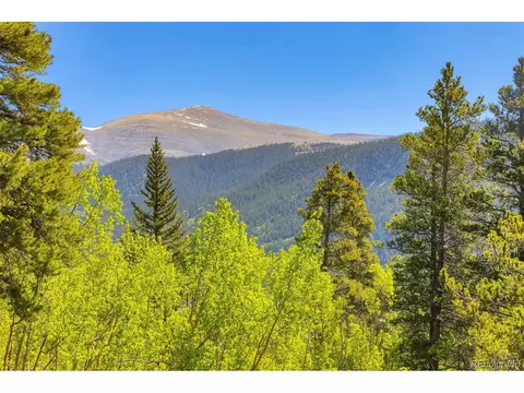 715 Lewsader Rd, Alma, CO 80420