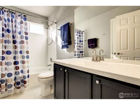 5954 Booth Dr, Firestone, CO 80504 photo 25