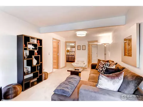 424 Morrison Aly, Boulder, CO 80302 photo 20
