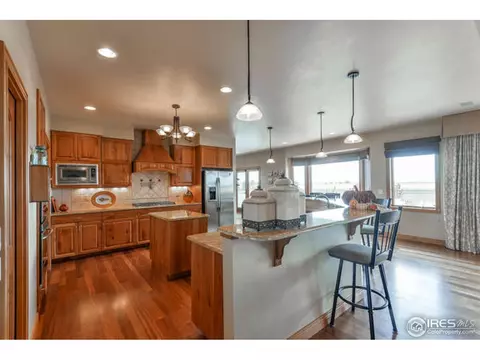 672 Madera Way, Windsor, CO 80550 photo 20