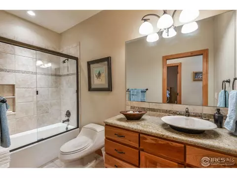 672 Madera Way, Windsor, CO 80550 photo 24