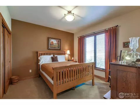 672 Madera Way, Windsor, CO 80550 photo 25