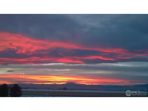 672 Madera Way, Windsor, CO 80550 photo 40