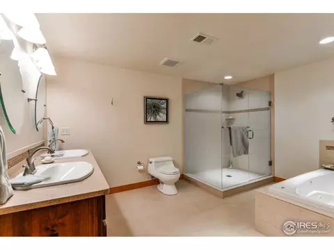 672 Madera Way, Windsor, CO 80550 photo 26