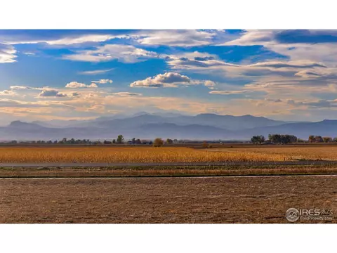 672 Madera Way, Windsor, CO 80550 photo 38