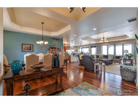 672 Madera Way, Windsor, CO 80550 photo 10