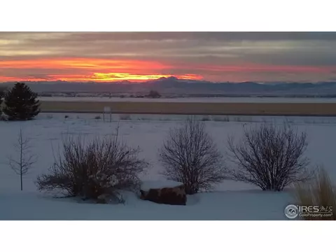 672 Madera Way, Windsor, CO 80550 photo 5