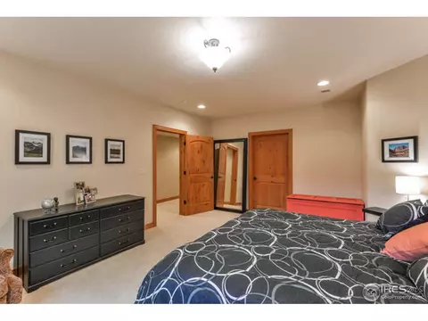 672 Madera Way, Windsor, CO 80550 photo 27