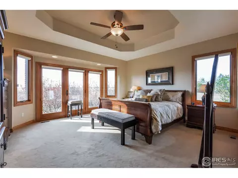 672 Madera Way, Windsor, CO 80550 photo 29
