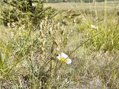 734 Chief Trl, Como, CO 80432 photo 20