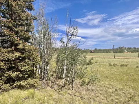 734 Chief Trl, Como, CO 80432 photo 8