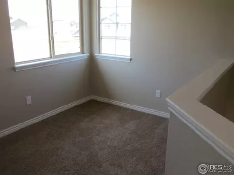 862 Corn Stalk Dr, Windsor, CO 80550 photo 11