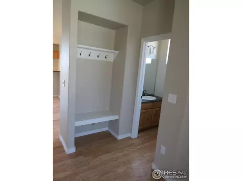 862 Corn Stalk Dr, Windsor, CO 80550 photo 4