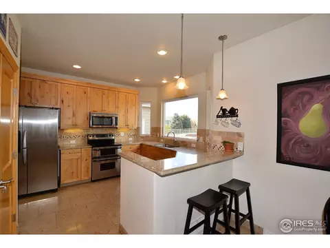 1421 Red Fox Cir, Severance, CO 80550 photo 9