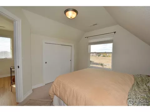 1421 Red Fox Cir, Severance, CO 80550 photo 28