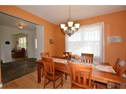 1421 Red Fox Cir, Severance, CO 80550 photo 14