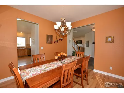 1421 Red Fox Cir, Severance, CO 80550 photo 15