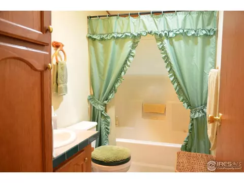 57 Buff Ct, Drake, CO 80515 photo 20