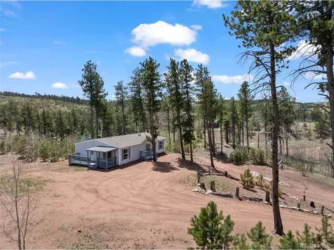 100 Wolverine Dr, Florissant, CO 80816 photo 48