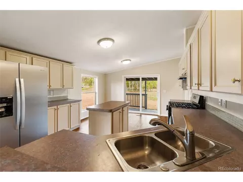 100 Wolverine Dr, Florissant, CO 80816 photo 23