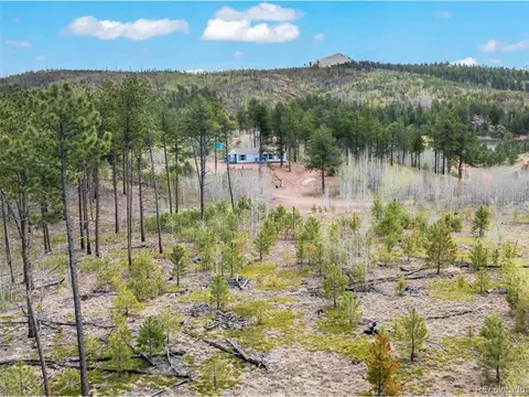 100 Wolverine Dr, Florissant, CO 80816 photo 11
