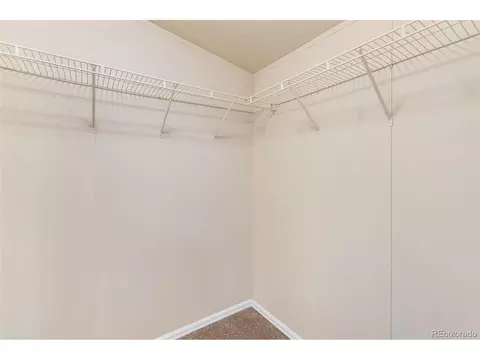 100 Wolverine Dr, Florissant, CO 80816 photo 30