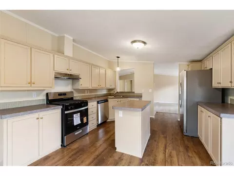 100 Wolverine Dr, Florissant, CO 80816 photo 24