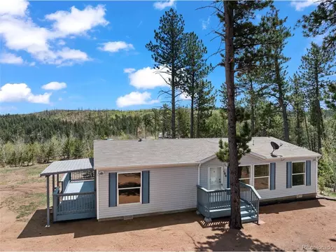 100 Wolverine Dr, Florissant, CO 80816 photo 3