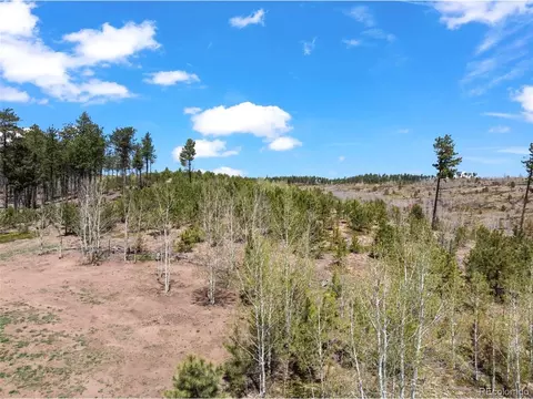 100 Wolverine Dr, Florissant, CO 80816 photo 47