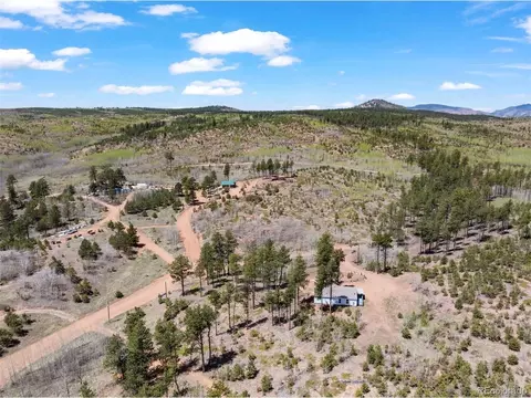 100 Wolverine Dr, Florissant, CO 80816 photo 45