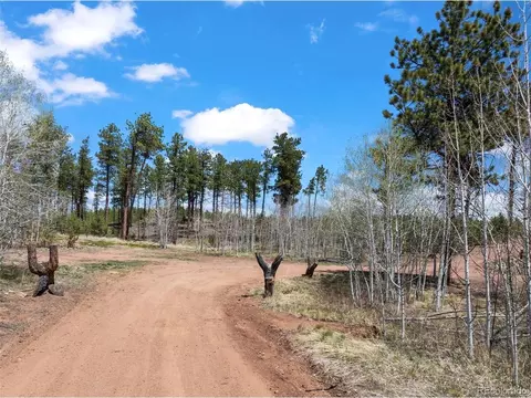 100 Wolverine Dr, Florissant, CO 80816 photo 6