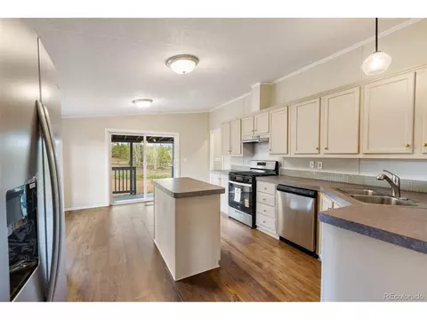 100 Wolverine Dr, Florissant, CO 80816 photo 21