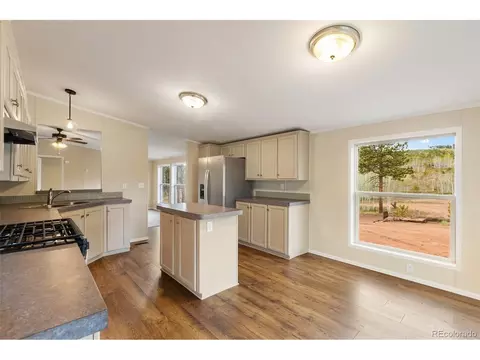 100 Wolverine Dr, Florissant, CO 80816 photo 19
