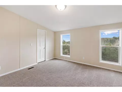 100 Wolverine Dr, Florissant, CO 80816 photo 31