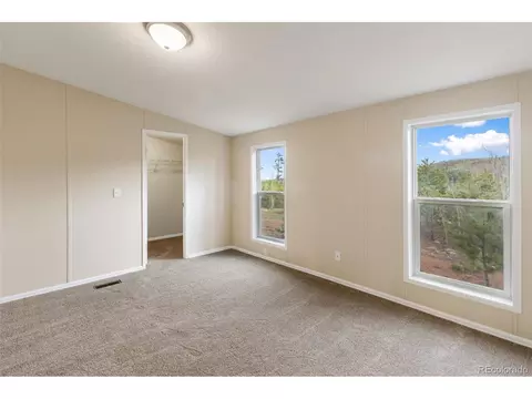 100 Wolverine Dr, Florissant, CO 80816 photo 26