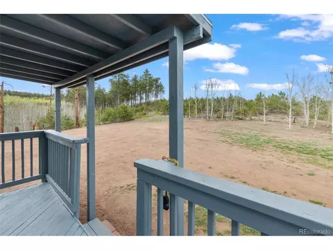 100 Wolverine Dr, Florissant, CO 80816 photo 8