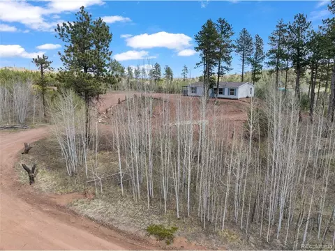100 Wolverine Dr, Florissant, CO 80816 photo 12