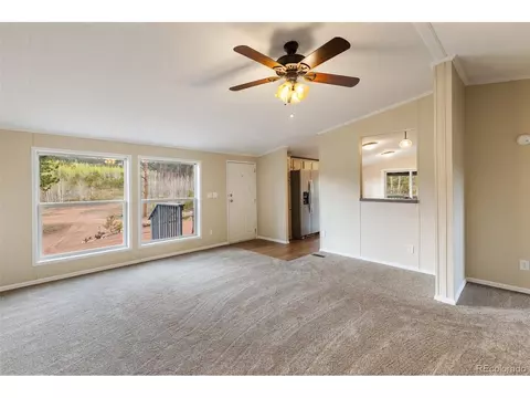 100 Wolverine Dr, Florissant, CO 80816 photo 15