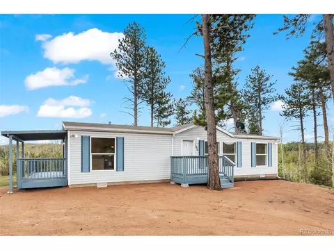 100 Wolverine Dr, Florissant, CO 80816 photo 2