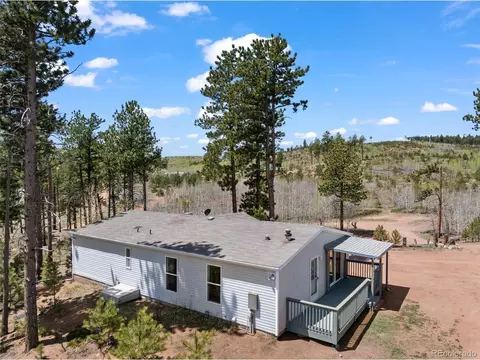 100 Wolverine Dr, Florissant, CO 80816 photo 7