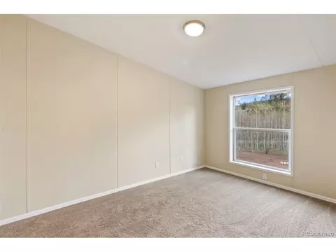 100 Wolverine Dr, Florissant, CO 80816 photo 34